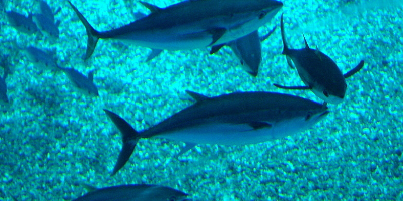 Diseño sin título(1)