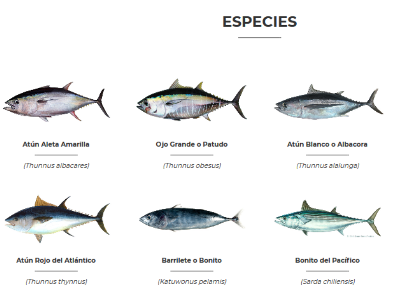 Diseño sin título(1)
