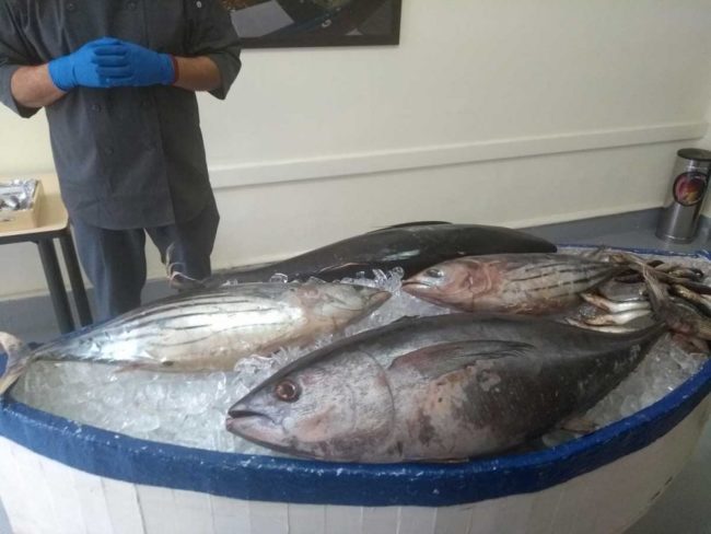 atun-sardina-990×743