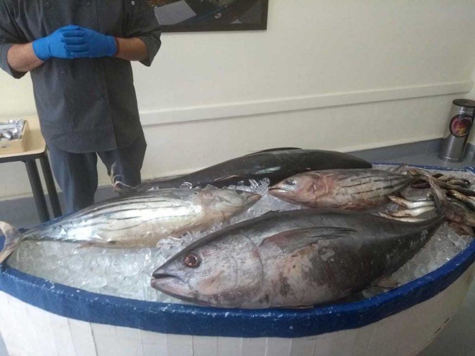 atun-sardina-990×743